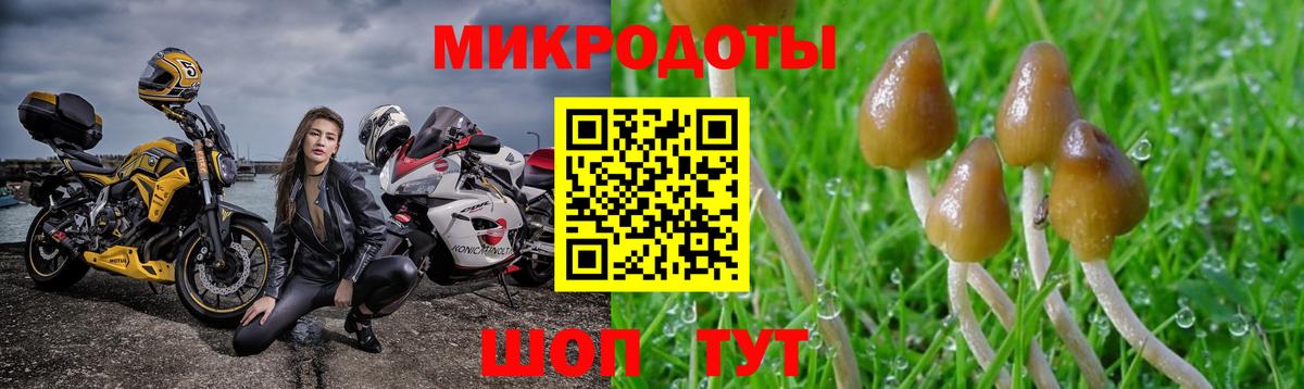 Псилоцибиновые грибы GOLDEN TEACHER Магнитогорск