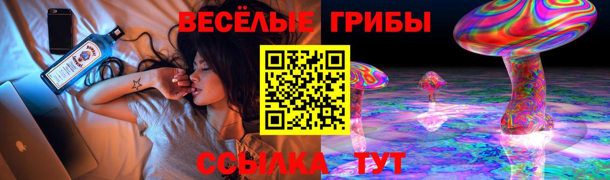 Псилоцибиновые грибы мицелий  Вход с VPN  где найти   Магнитогорск 